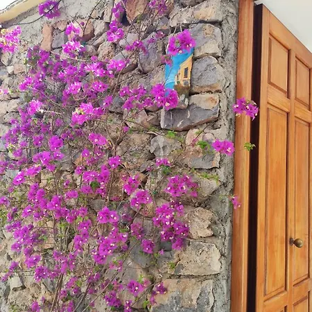Il Piccolo Sogno In Costiera Amalfitana Tatil Evi *
