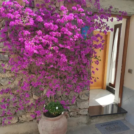 Tatil Evi Il Piccolo Sogno In Costiera Amalfitana